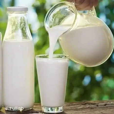 Homemade sour cream, milk and butter