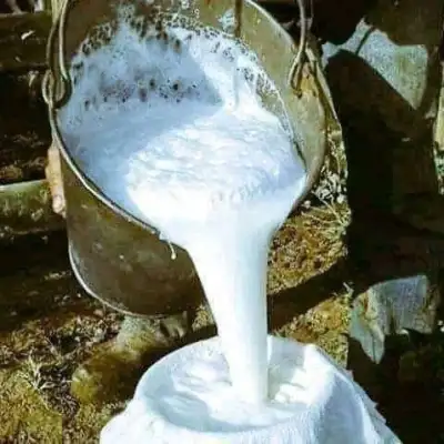 Сметана, молоко и сливочное масло