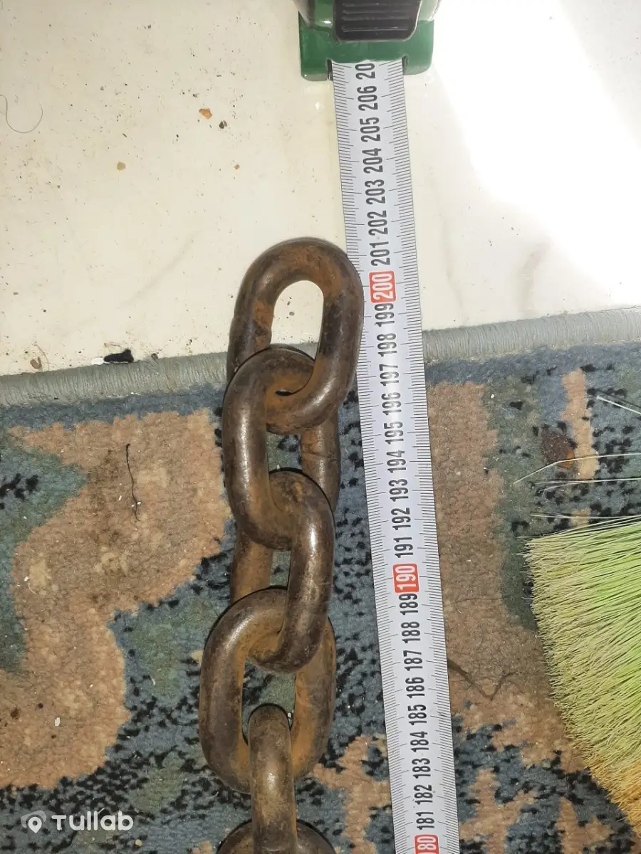Chain with lock, 2 m, 7,5 kg
