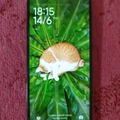 Redmi 14C, 256 ГБ