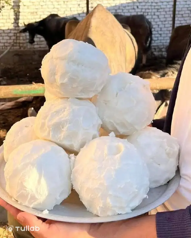 Молоко, сметана и сливочное масло домашние