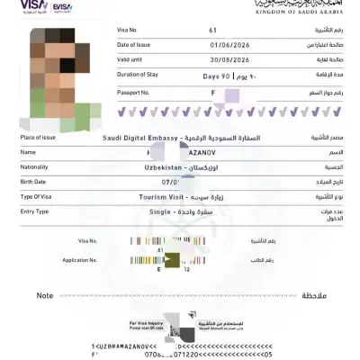 Сингл виза, 108$