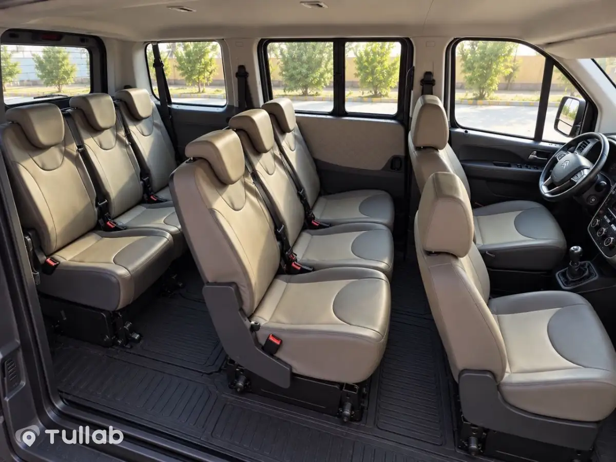 Taxi, 8-seat minivan, Cairo, airport, intercity