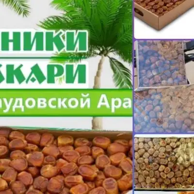 Саудовские финики Суккари, 600 гиней