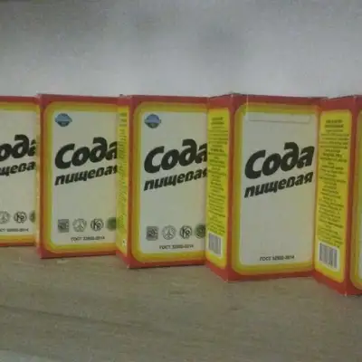 ПИЩЕВАЯ СОДА, нужный продукт для вашей кухни