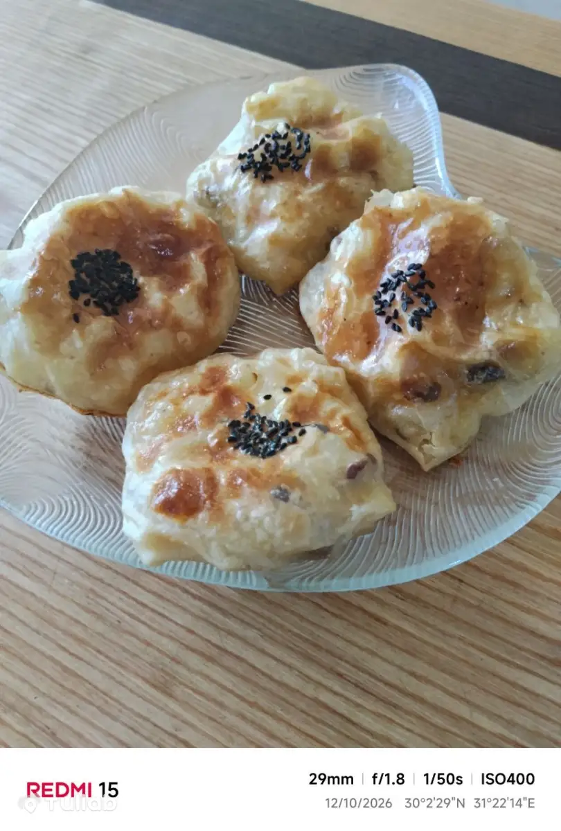Пирожки с мясом, катлама и самса
