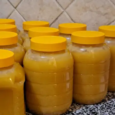 Мёд расторопши